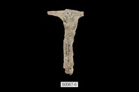 藏品(丁蠣)的圖片